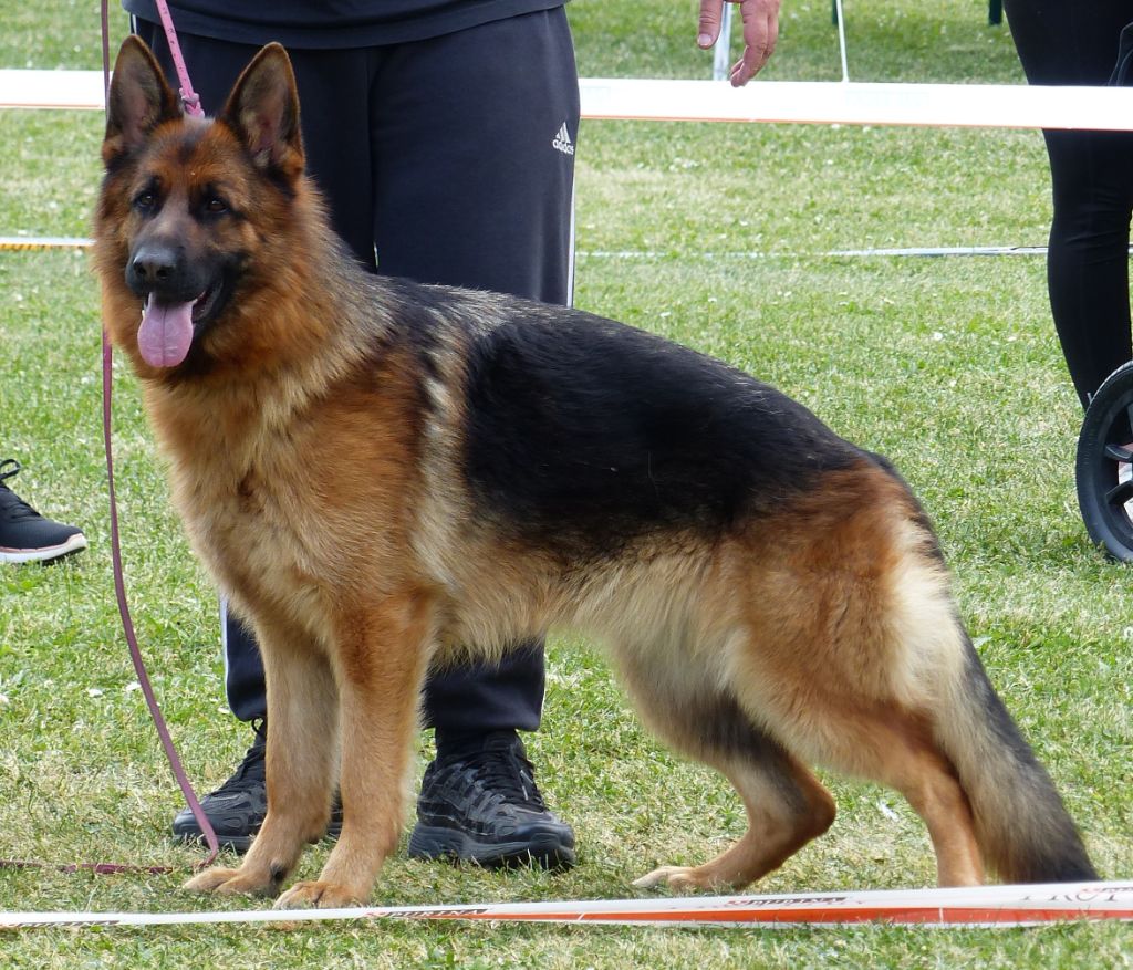 Utaly du domaine de sanctae crucis