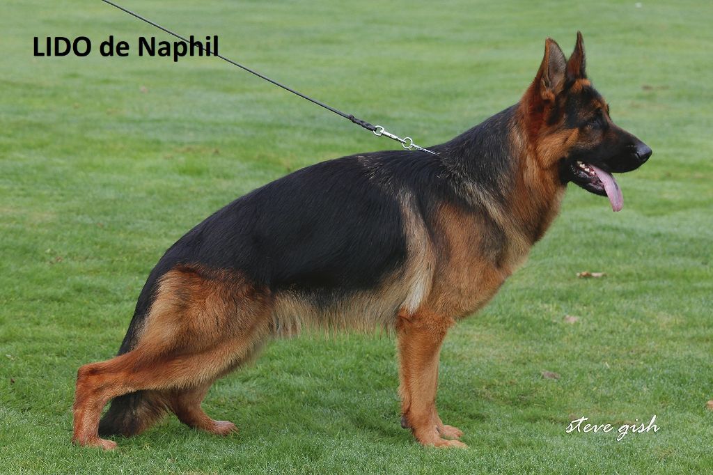 LIDO de Naphil