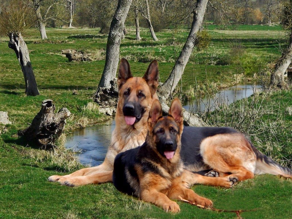 LANCEL